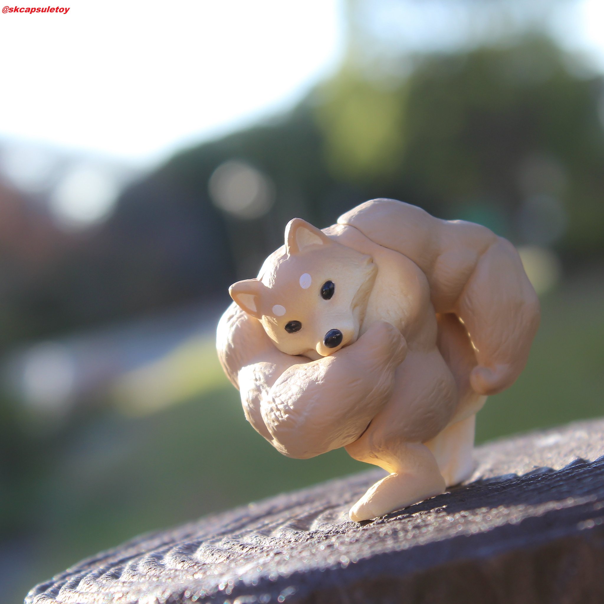 公式 Skカプセルトイチーム 11月発売商品のご紹介 マッチョアニマル えっ あの動物達がムキムキのマッチョになっちゃった 筋肉フェチにはたまらないリアルな出来栄えです ぜひゲットして下さいませ 来週いよいよ全国各地で順次発売開始