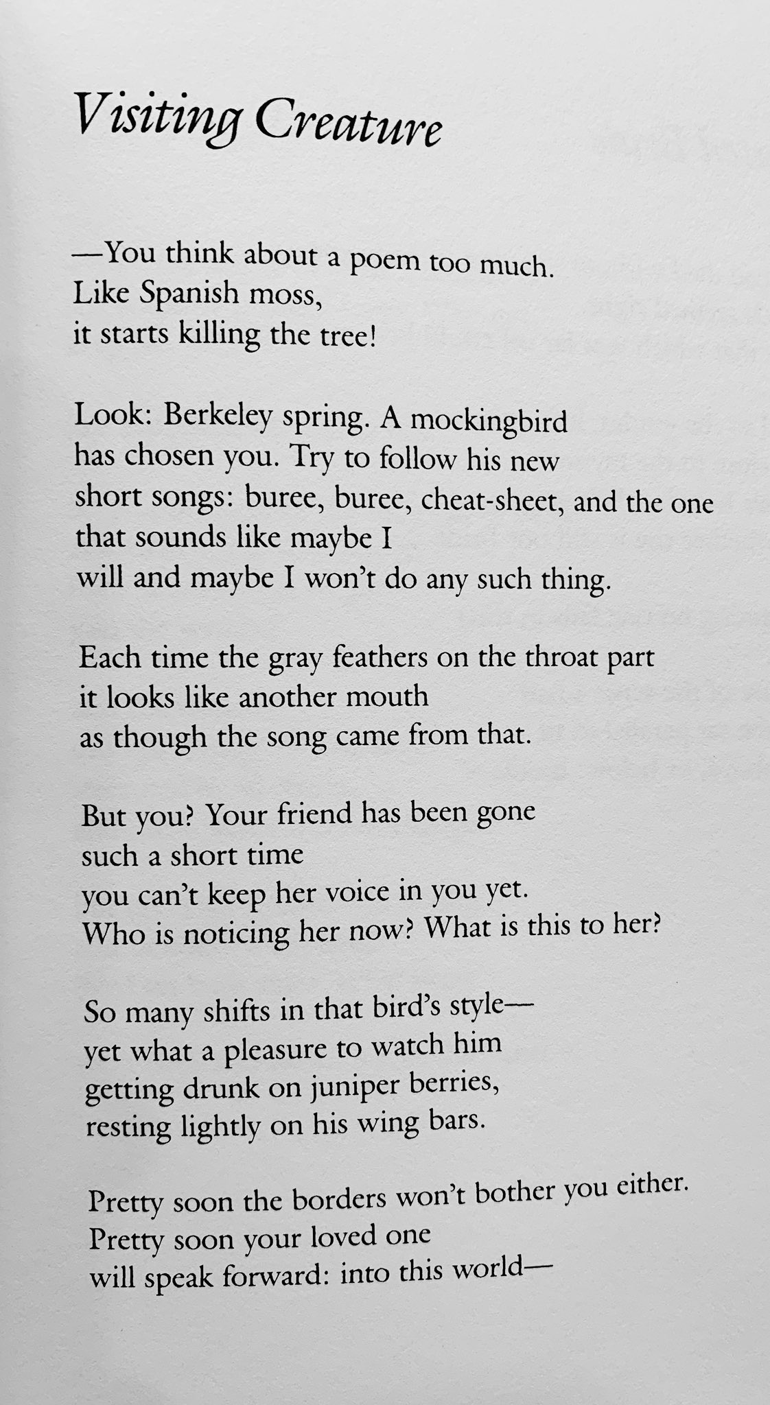 spanish-friendship-poems