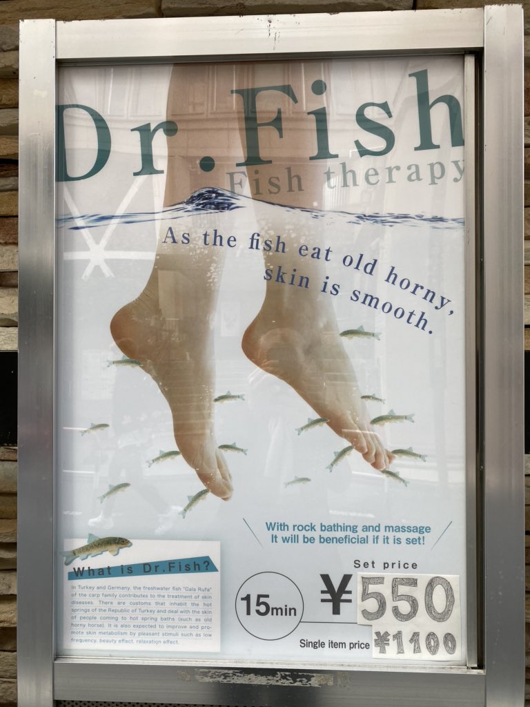 leeharris1010's tweet photo. In America fish travel in schools. In Japan fish travel in medical schools! #tokyo #drfish #1010wins https://t.co/hSMd5N7Adw