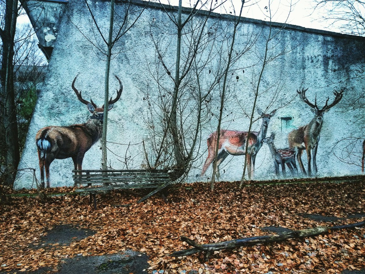 twtomcat's tweet photo. Unforgettable Trip to Chernobyl and Pripyat to wrap up #buildstufflt and #buildstuffua https://t.co/7wfhmSdufE