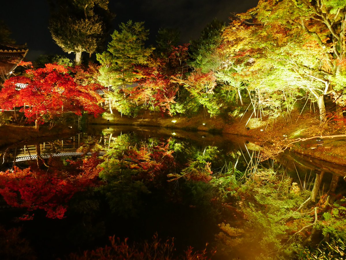 Sui62261073's tweet photo. 京都旅行2日目の写真 https://t.co/l4O75UnOZ1