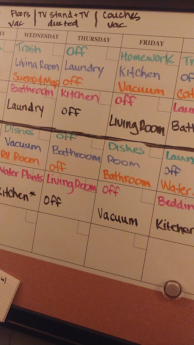 Adulting can be such a bitch sometimes! Thank you @KaosTheoryTV for doing this for us! ❤
#DelegatingChores
#ChoreChart