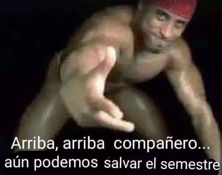 Minimiliano tweet media