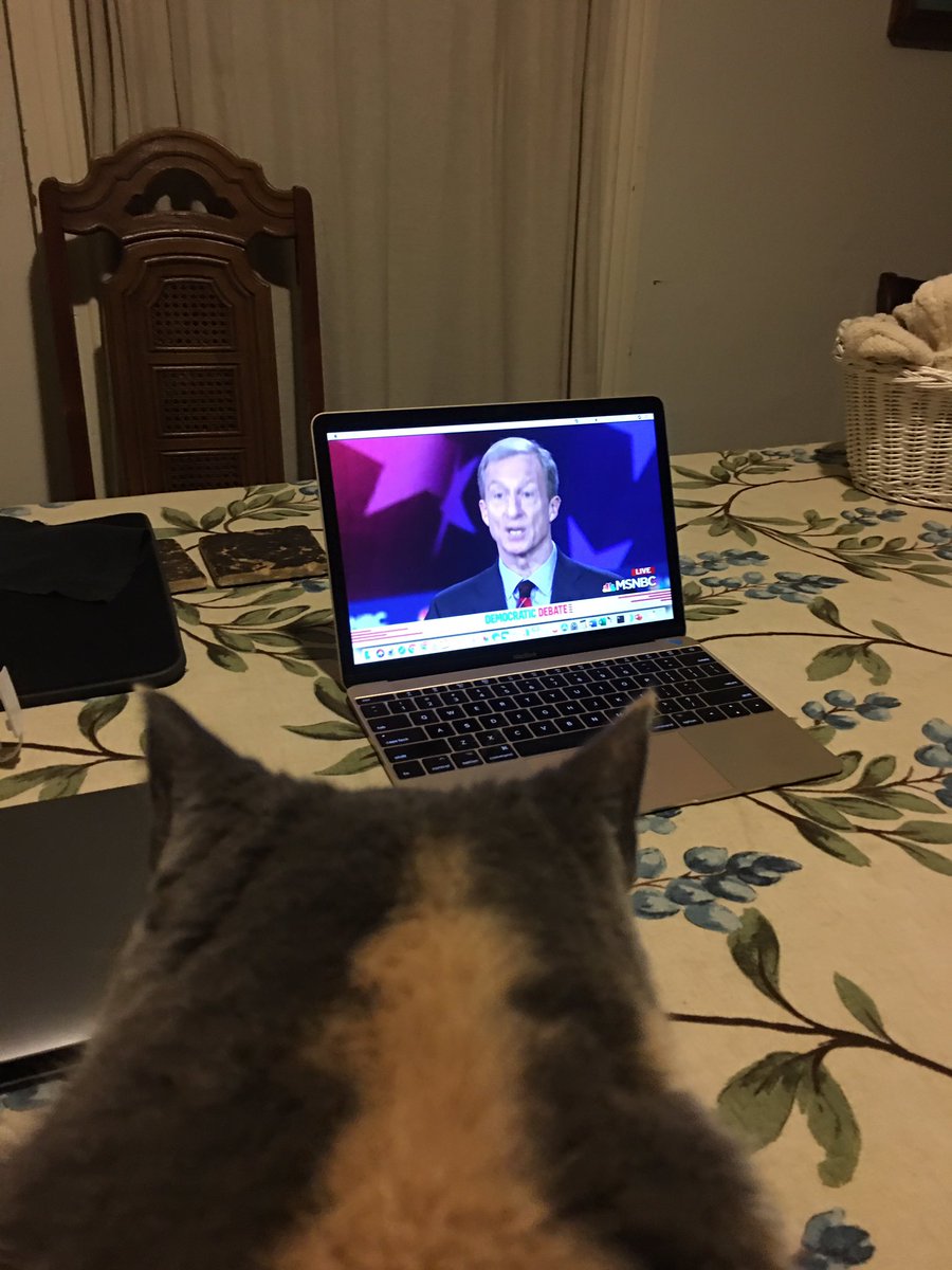 Mika the Cat took notice when <a href="/TomSteyer/">Tom Steyer</a> talked about climate change. #DemDebate