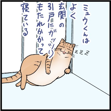 ネコのプライドなの!?謎の努力!!
#猫 