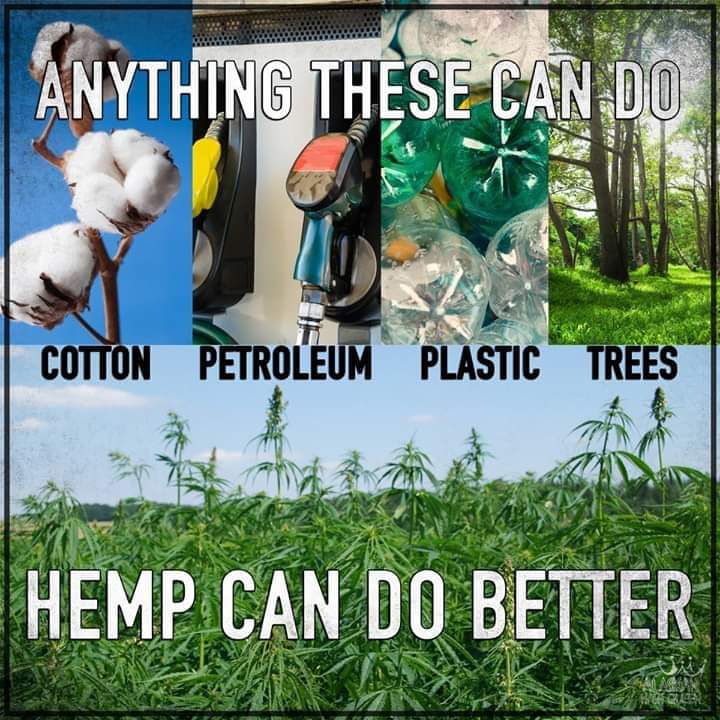 Jerichoholic420's tweet photo. @PeteButtigieg We need a #HempForFuel program as part of our national security and put our farmers to work. https://t.co/fSLEE2tHSv