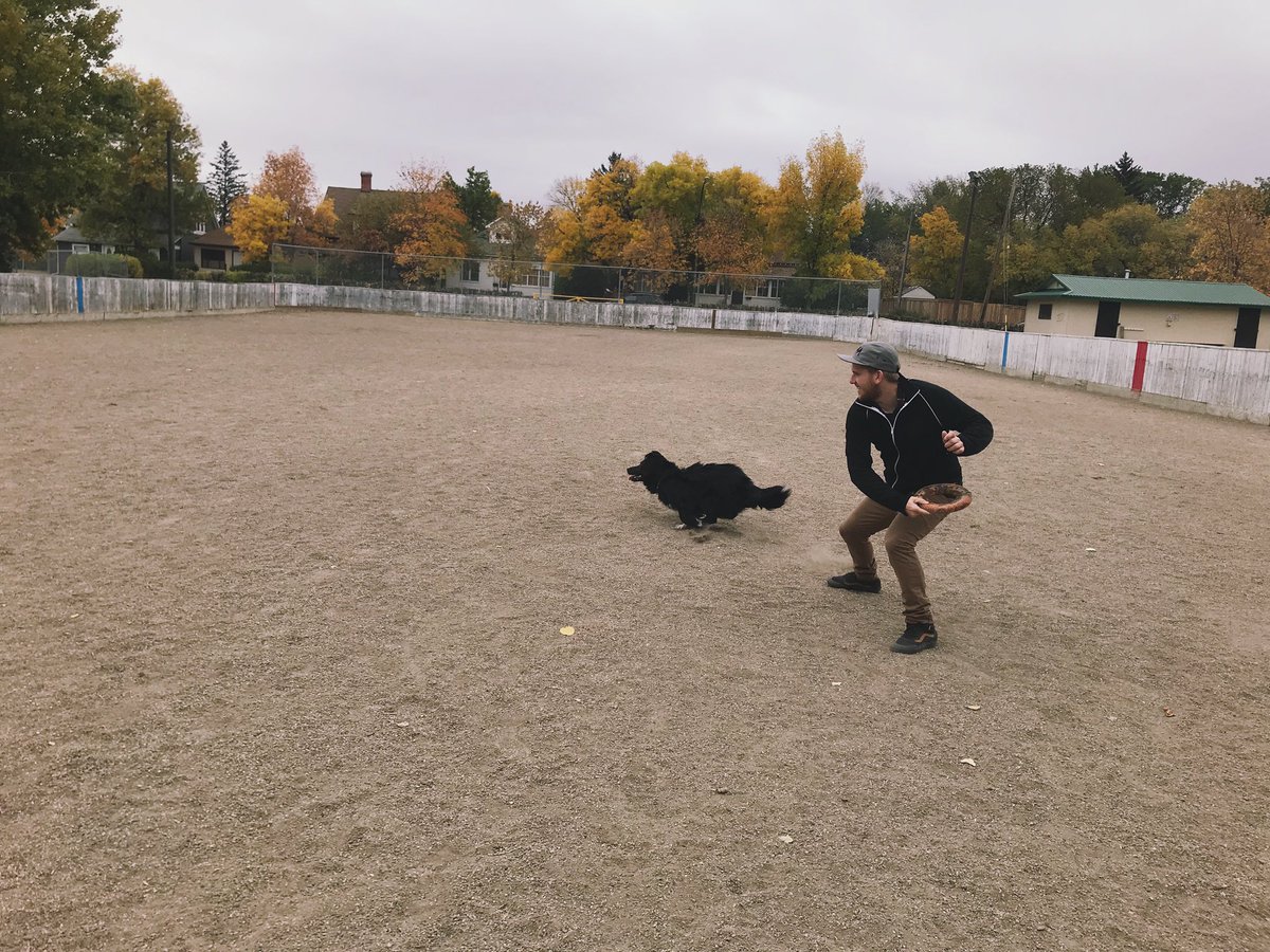 jamierichardsSK's tweet photo. @davidbaxter_ @CreedenMartell @StephTaylorCP Such small legs, so much agility. And he totally herds his cousin, a golden retriever named Gus. Gus is not a fan. https://t.co/T5L3XKUEN4