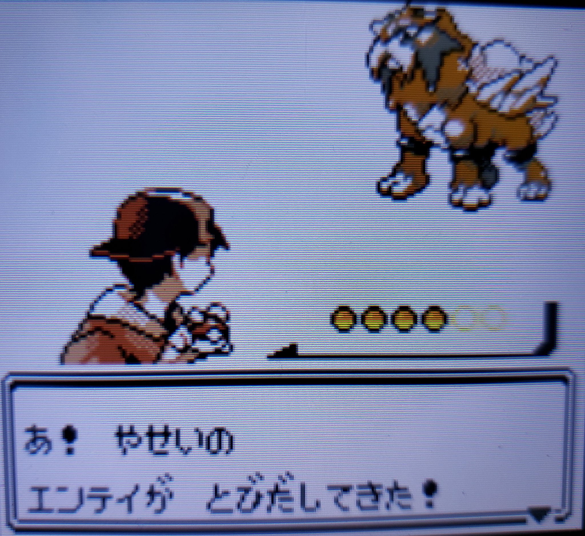 毬藻 Poke Times ポケモン金銀2０周年おめでとうございます 2０周年の前日にスイクンの色違いが出て三犬の色違いが全てゲットできました エンテイ118回 ライコウ4 927回 スイクン14 037回 T Co Lnfudecxjy Twitter