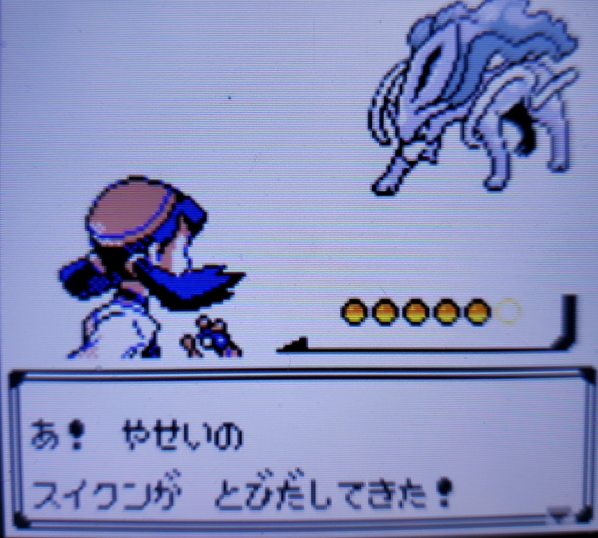 毬藻 Twitter પર Poke Times ポケモン金銀2０周年おめでとうございます 2０周年の前日にスイクンの色違いが出て三犬の色違いが全てゲットできました エンテイ118回 ライコウ4 927回 スイクン14 037回 T Co Lnfudecxjy Twitter