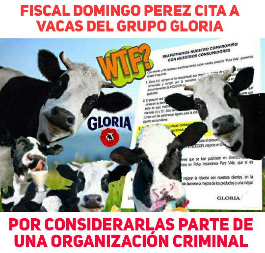 FujiNewsPeru's tweet photo. 🔴 🔵  #ATENCIÓN 🚨 🐄 🐮 🐄
| NOTICIA DE #ÚLTIMOMINUTO 👉#DomingoPerez
#KeikoFujimori 
#BOMBAZO 
#CopaLibertadores 
#20Nov 
#BCPnuncamas 
#BCPchallenge 
#BCP 
#Odebrecht 
#LecheGloria https://t.co/89DROvn1eD