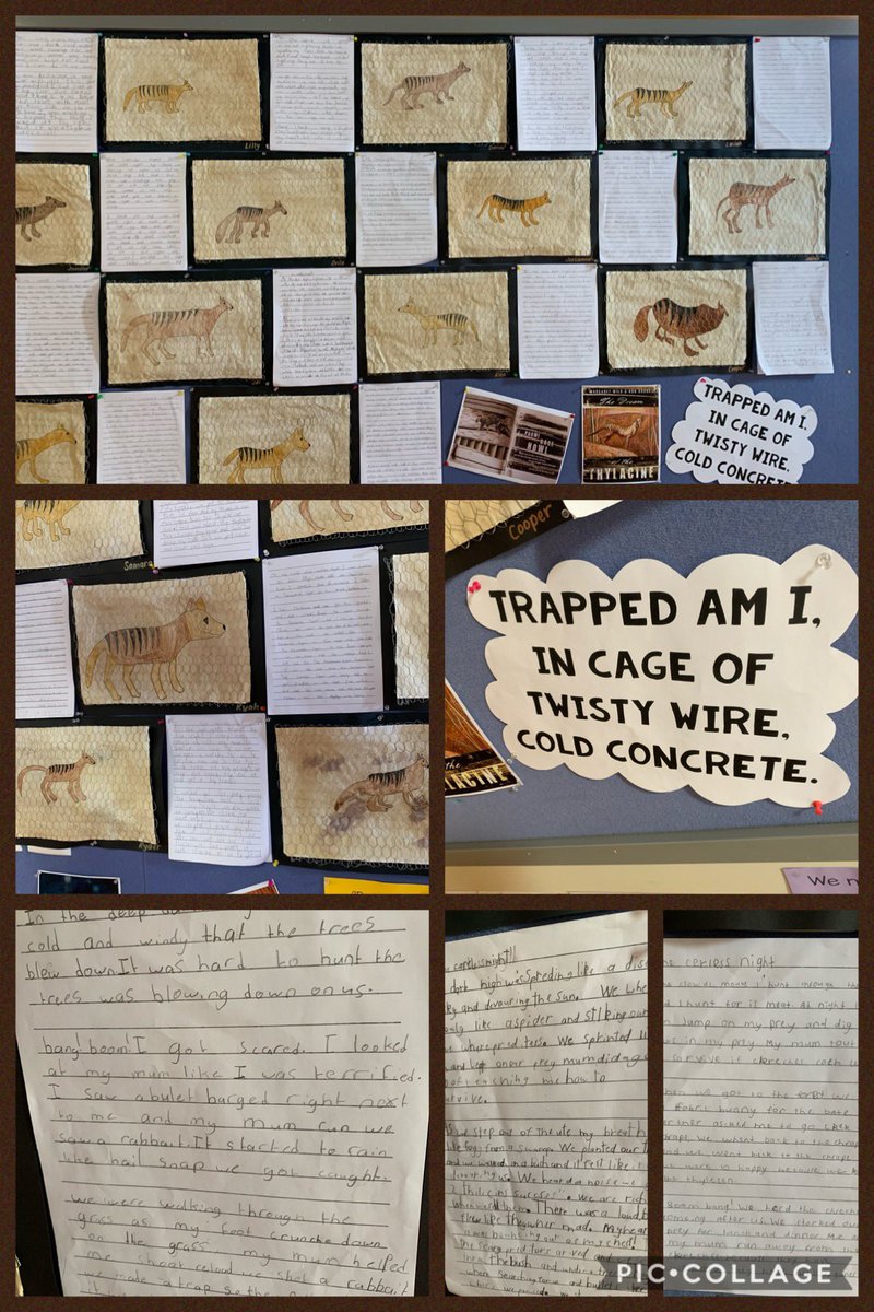 A visit to <a href="/claymore_ps/">Claymore PS</a> yesterday to meet with some colleagues led to an impromptu tour of K-2 classroom areas! Wow - what an amazing job these teachers are doing led by their incredible instructional leader, Tara Silverstone! #EAfS #Regionalsouth