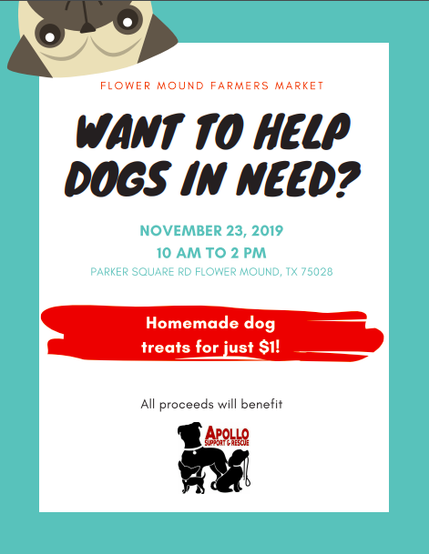 C_Chiv_NTHC's tweet photo. This Saturday, stop by the Flower Mound Farmers Market to help dogs in need! 
@NewTechCoppell @NTHC_DECA #cisdourstory #nthcEmpower #savedbythepbl https://t.co/tn3BUe3W5p
