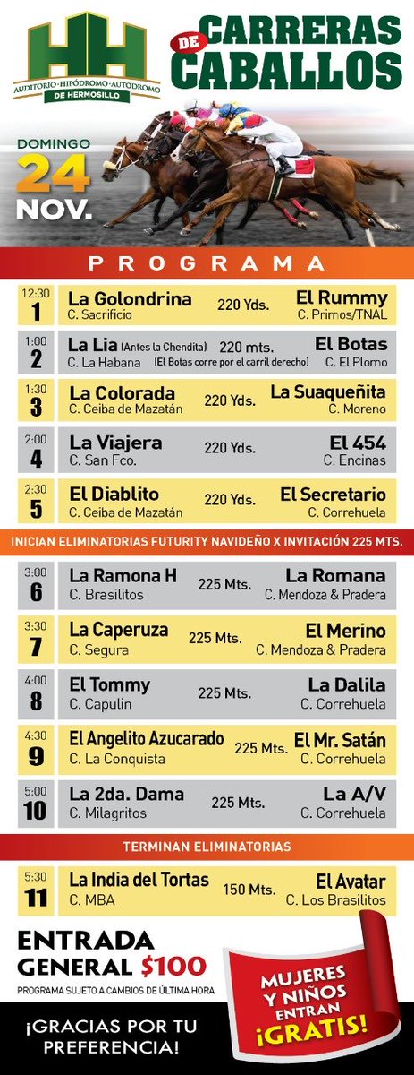 24 de Noviembre 2019
carreras de Caballos #HH