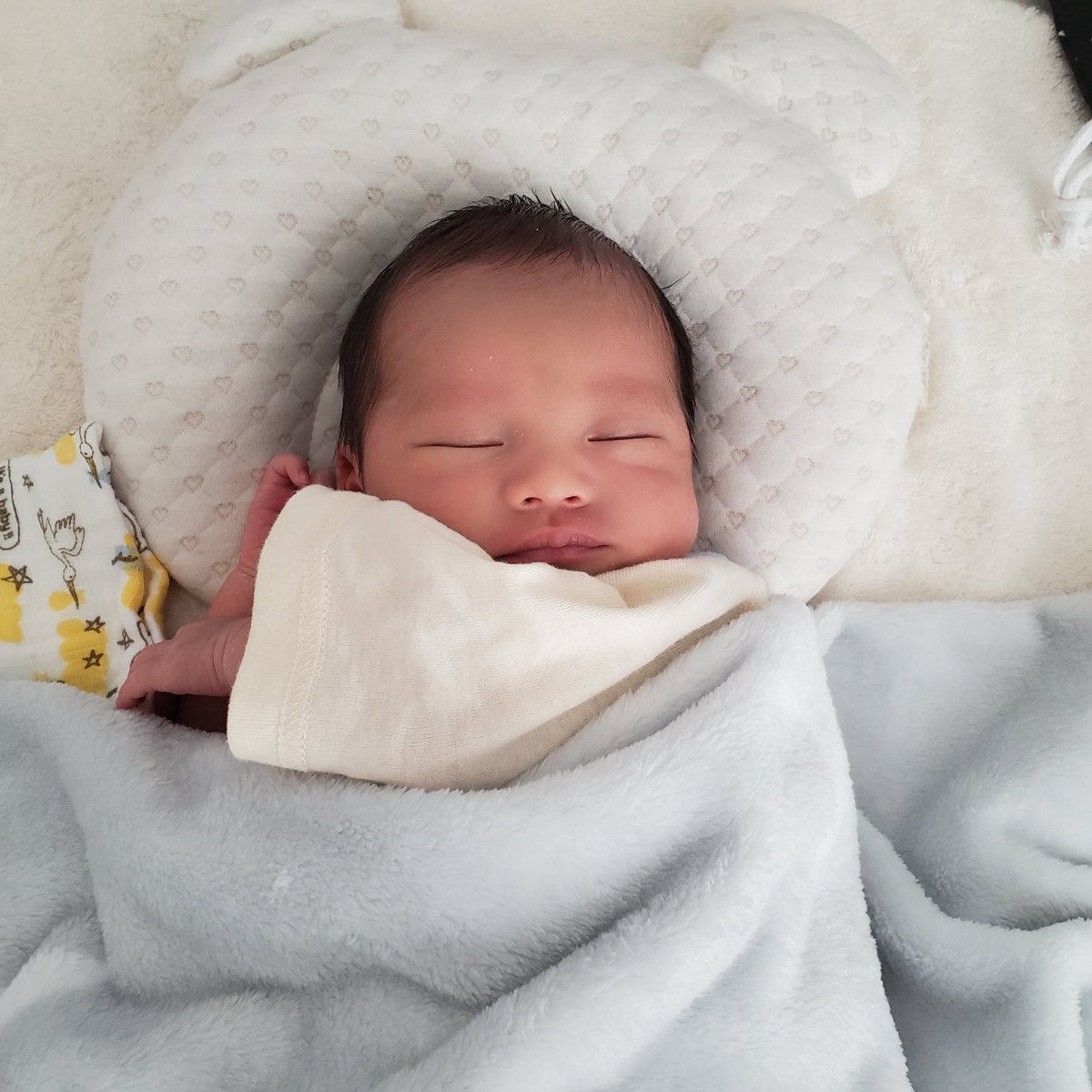 xoxox_______6's tweet photo. スヤスヤ😌😴❤❤❤ https://t.co/FRoGKvat9p