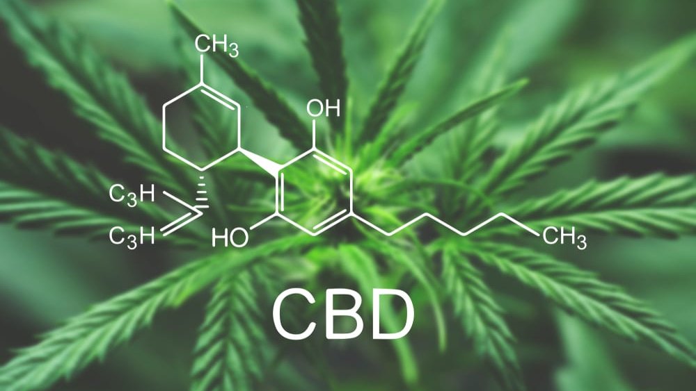 CBD can actually help reduce anxiety in people with certain anxiety-related behavioral disorders, such as:
⦿Post-traumatic stress disorder(PTSD)
⦿General anxiety disorder
⦿Panic disorder
⦿Social anxiety disorder
⦿Obsessive-compulsive disorder(OCD)
⦿Substance-abuse disorders