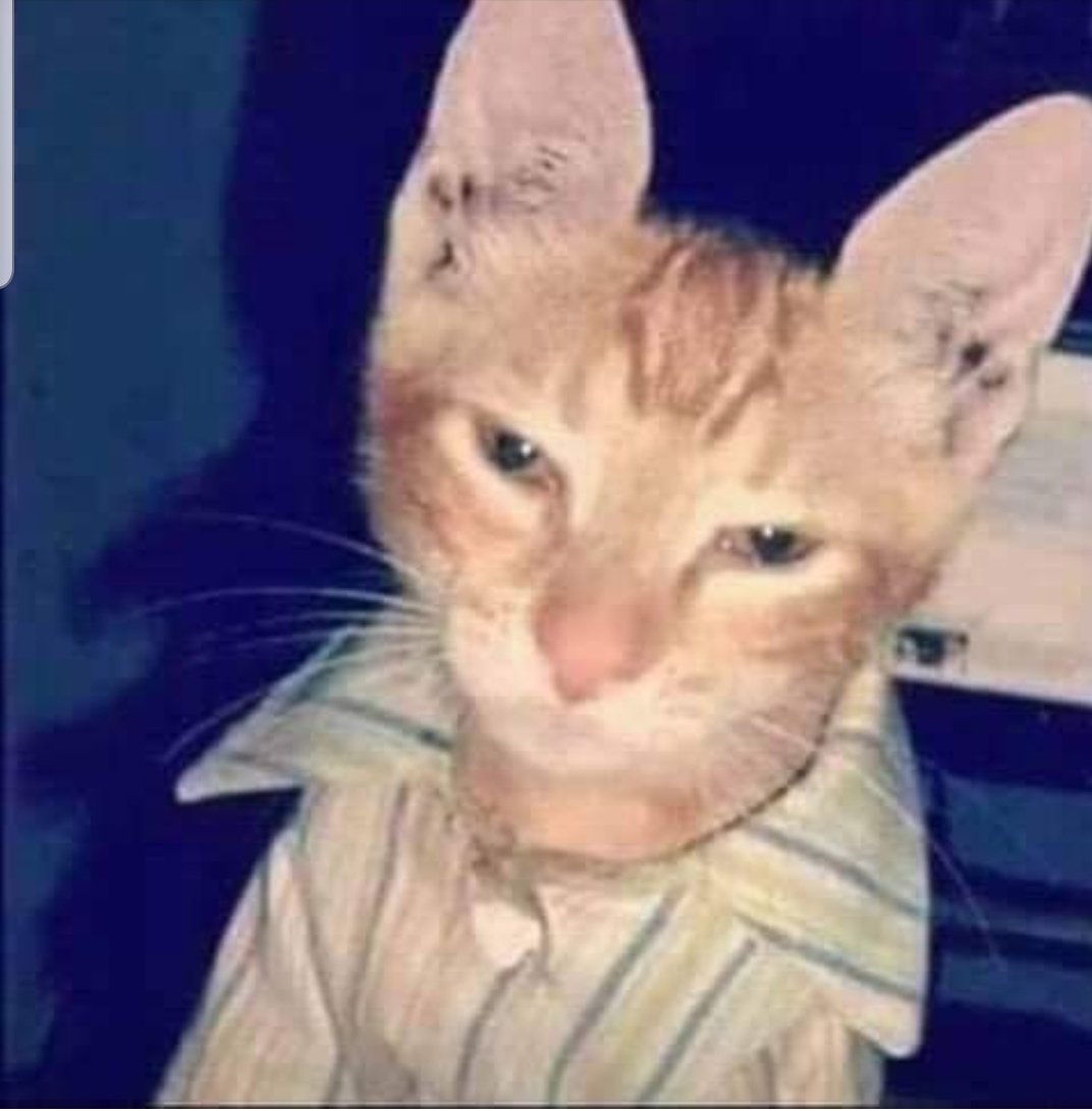 AlhabibDoujana's tweet image. @Design4Green 
#stillcoding
#nosleeping
#feelingtired
#vandals