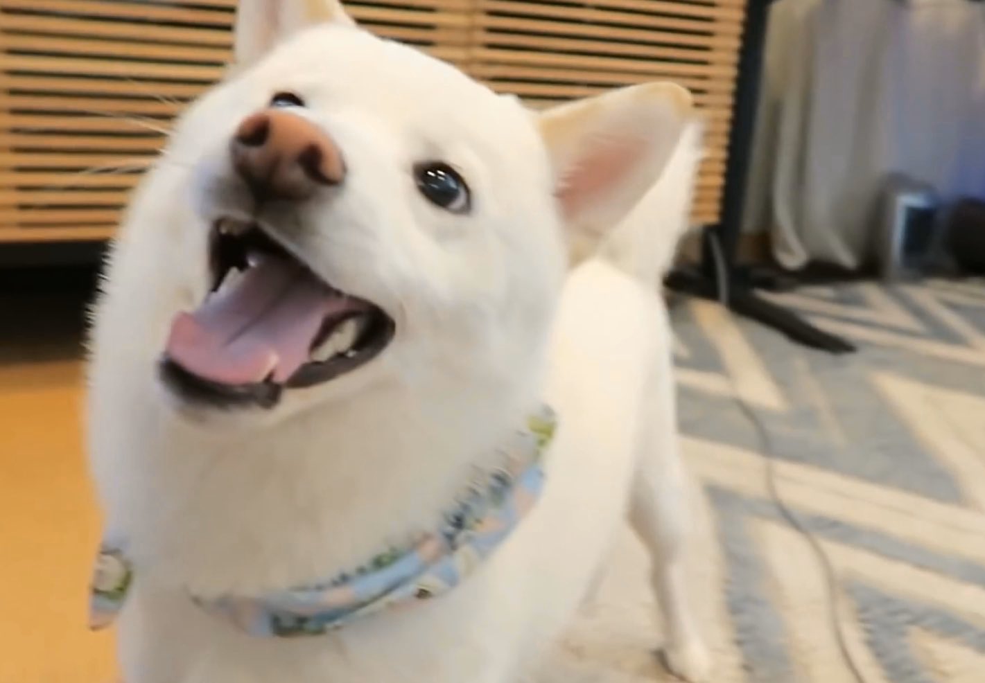 Rae On Twitter Mika Misses U