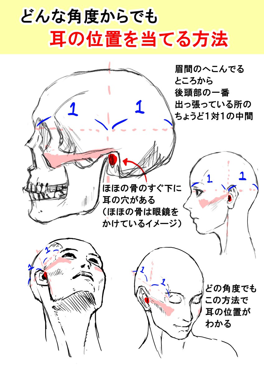 渡嘉敷拓馬 フリーランスcgアーティストさんのツイート どの顔の角度でも耳の位置の当てる方法 顔が上向いたり 下向いたりしたとき耳の位置 どこだっけ て迷うけど 前回投稿した頬の骨を意識したら一発でどこにあるかわかります