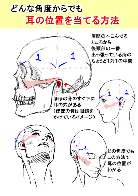 どの顔の角度でも耳の位置の当てる方法
顔が上向いたり、下向いたりしたとき耳の位置どこだっけ?て迷うけど、前回投稿した頬の骨を意識したら一発でどこにあるかわかります。 