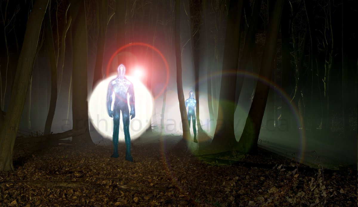 JoseACaravaca's tweet photo. @TheySawWhat I have been able to interview the witness, Rafael Tobajas, and his description of humanoids is closer to this image... https://t.co/q5i7fLjZiI