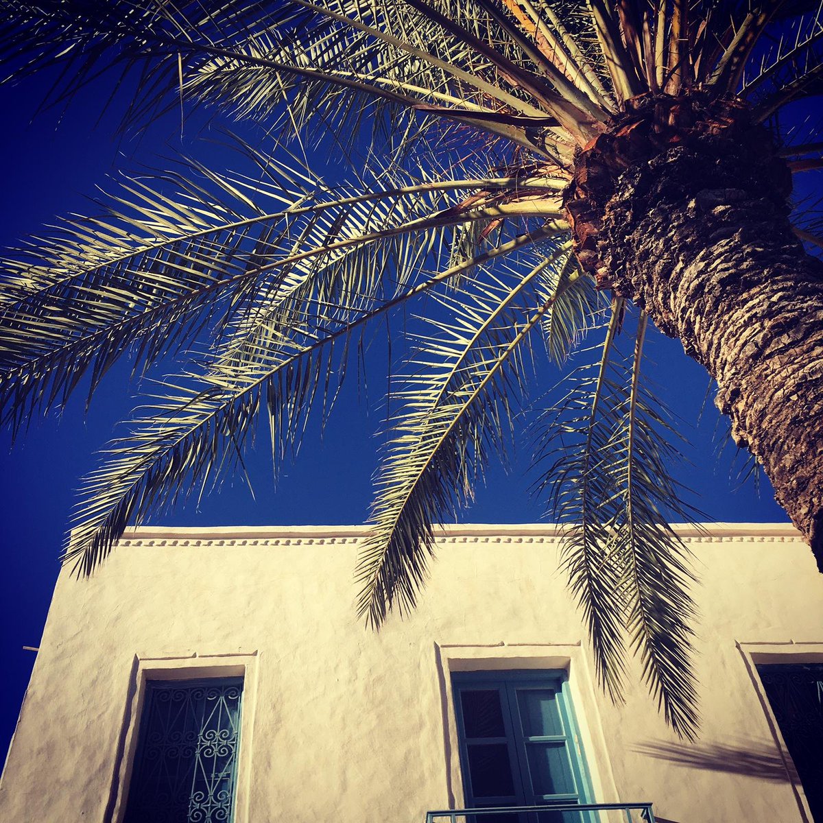 ★ Des nouvelles de l’atelier ★
C&amp;S en direct de la Tunisie ! Repérage de Virginie sous le soleil ☀️