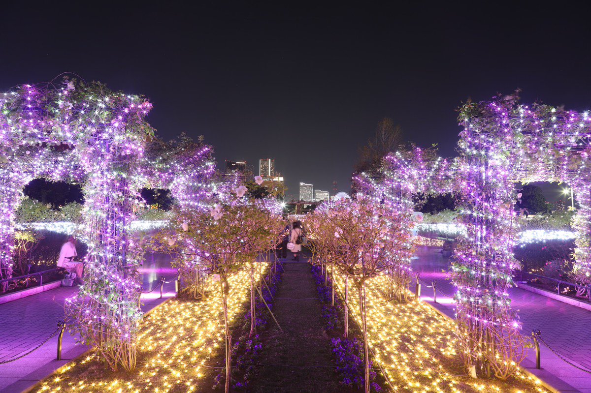 横浜観光情報 公式 Twitter પર Snow Rose Garden Yokohama Directed By Naked もう見に行った 山下公園 で初開催の光の演出 1900株のバラに囲まれた ローズガーデン で 光の花が創り出すロマンティックな空間 無料で楽しめる イルミネーション 12 27 横浜観光情報 公式 Twitter પર Snow Rose Garden Yokohama Directed By Naked もう見に行った 山下公園 で初開催の光の演出 1900株のバラに囲まれた ローズガーデン で 光の花が創り出すロマンティックな空間 無料で楽しめる イルミネーション 12 27