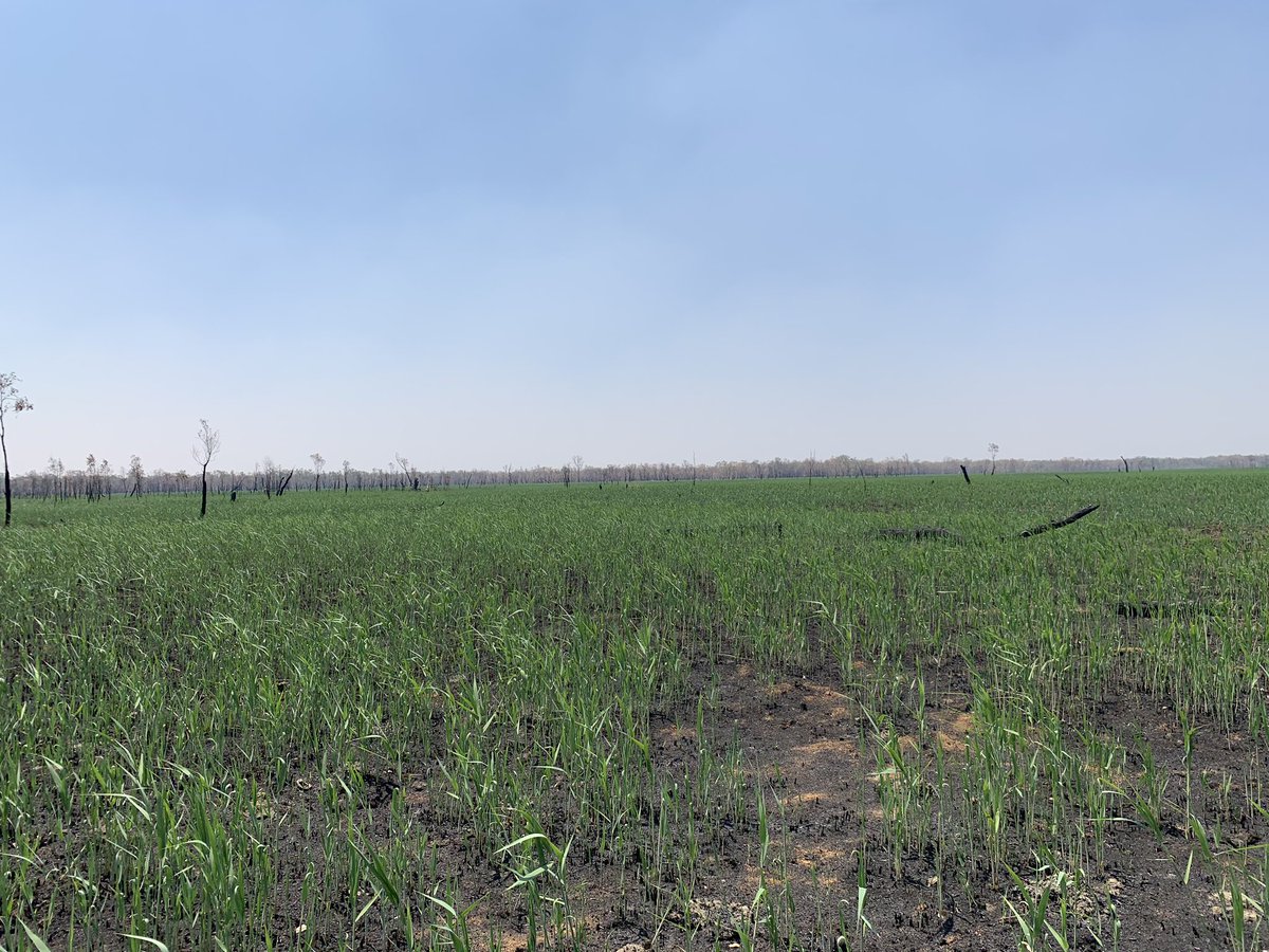 Gus OBrien tweet media