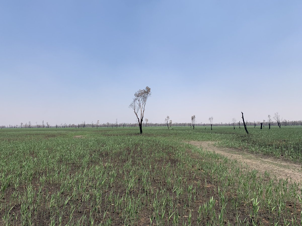 Gus OBrien tweet media