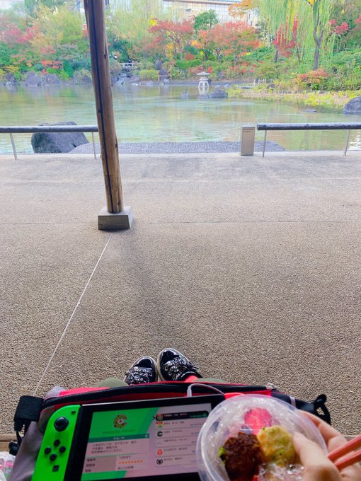 ポケモンがやりたすぎて、昼休憩に弁当とSwitchもって公園に行ってゲームしてた?w 