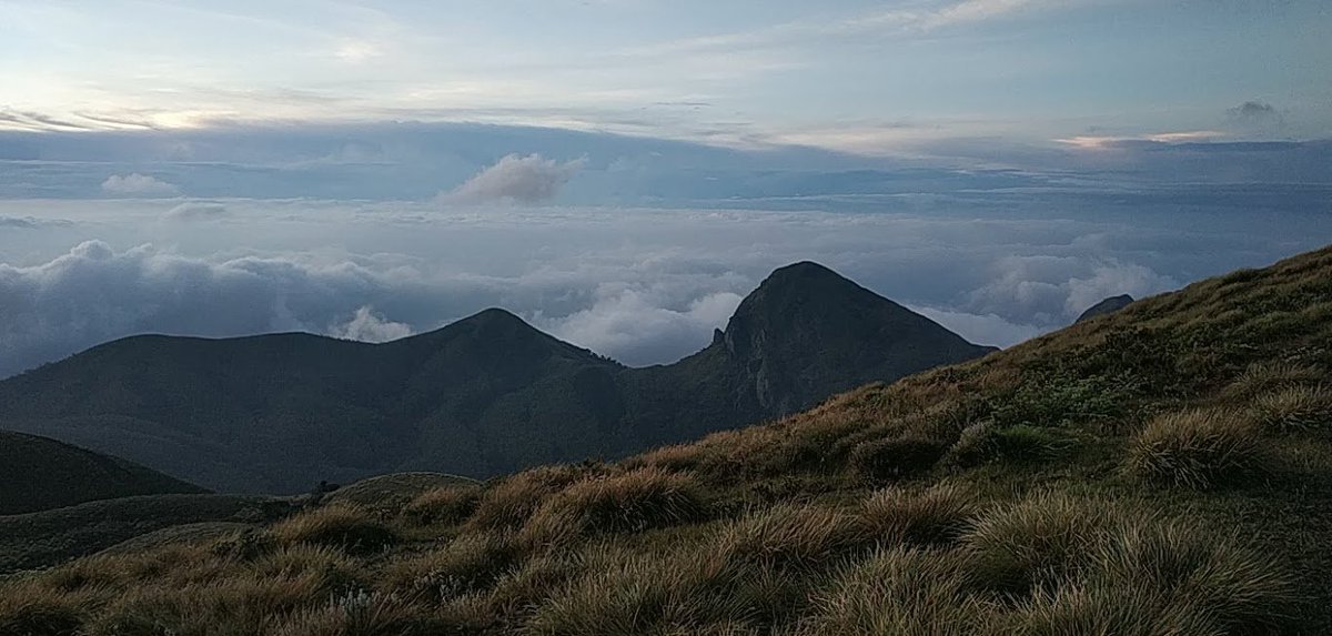 perurkada's tweet photo. #Meeshapulimala #trekking #Mountainlover “The greatest joy in climbing is to be in charge of one’s own destiny” ............ https://t.co/Mp6t8quokc