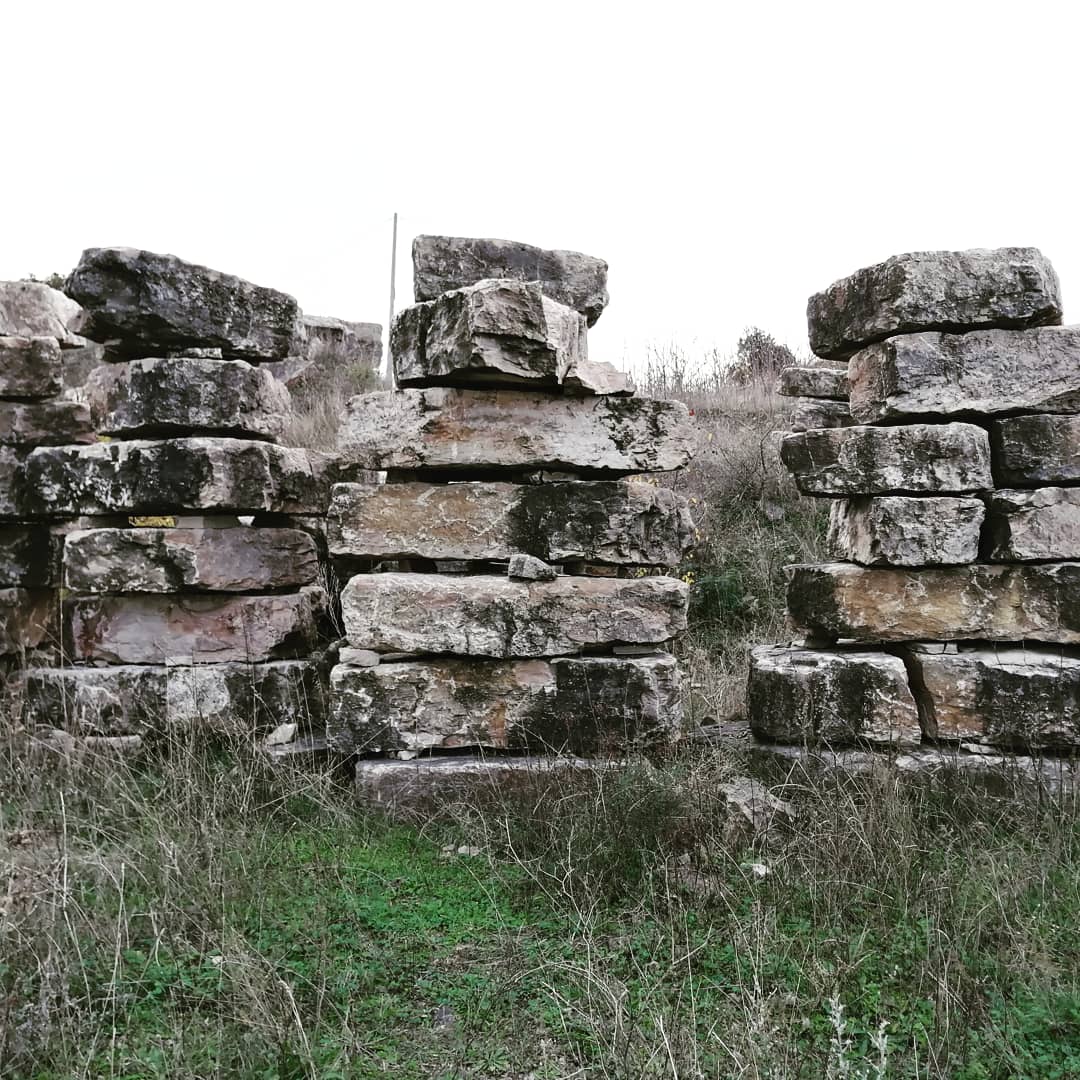 Quando una roccia ornamentale possiede una spinta "vena artistica" : la stupenda "Pietra di Guardialfiera", opera d'arte della geologia 🤩 @ Guardialfiera