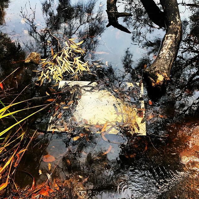 Fabriano paper in the lagoon
#fabrianopaper
#artinthebush #artbythesea #brightspace #FMOP #stevebairdart #victorianelson10 ift.tt/337eySQ