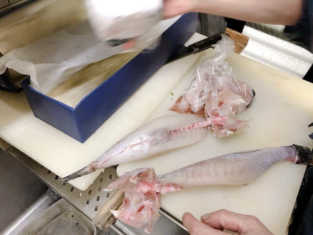 Moggy もぎー 河豚の下処理 その How To Cook Bowfish トラフグのみがきの捌き方をみせてもらう すでに皮や身などが分けられている状態から 丁寧に下処理を行う ふく晴 T Co Ysfqiaqcc1 T Co Wlq85s3ibu Twitter Moggy もぎー 河豚の下処理 その How To Cook Bowfish トラフグのみがきの捌き方をみせてもらう すでに皮や身などが分けられている状態から 丁寧に下処理を行う ふく晴 T Co Ysfqiaqcc1 T Co Wlq85s3ibu Twitter