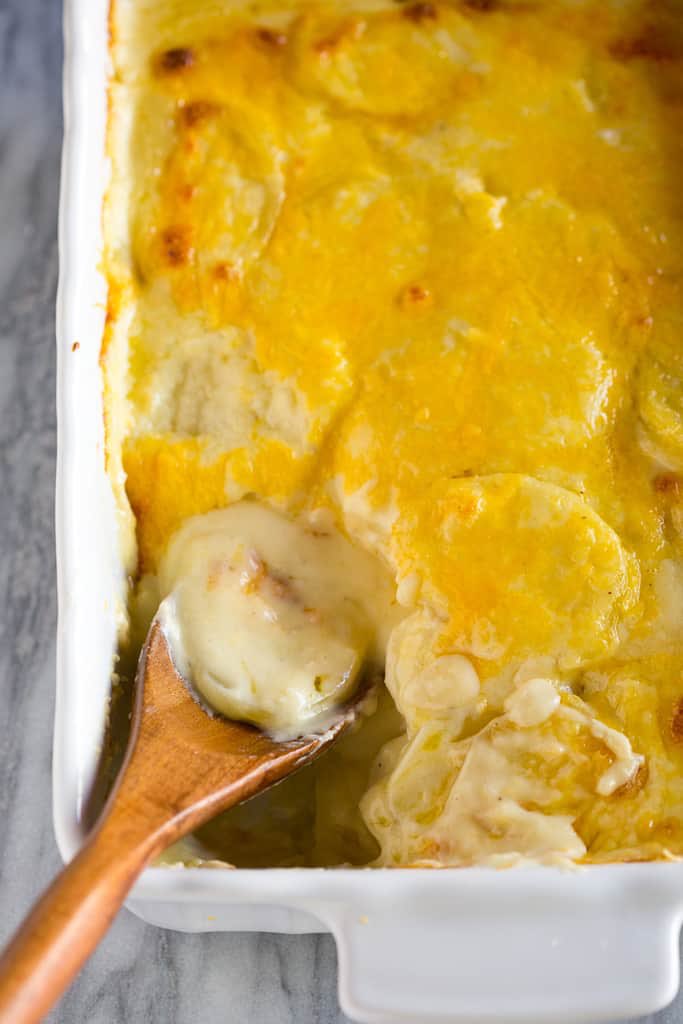 NorthwestVEG's tweet photo. Potatoes au Gratin: https://t.co/RdYYzQYoHv https://t.co/tDErSiNtMu