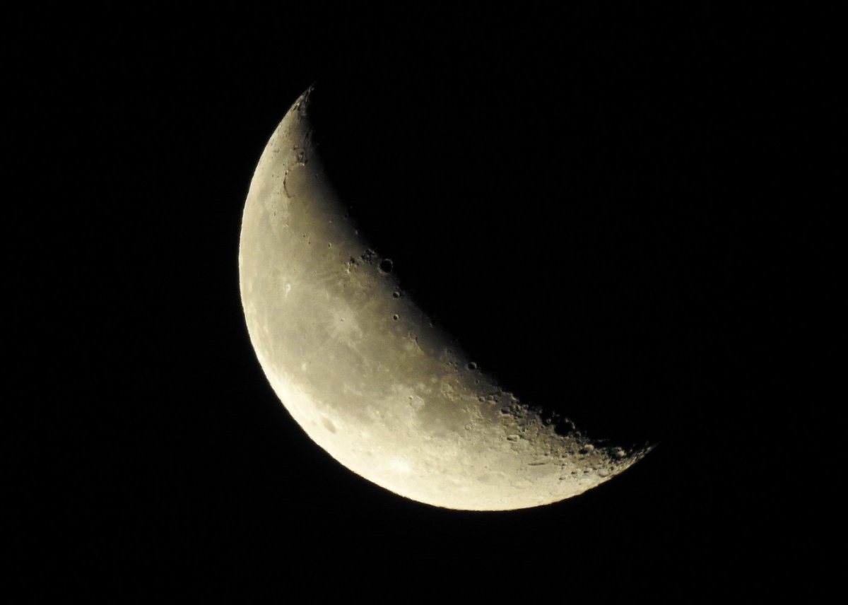 agforsythphotos's tweet image. 24 day old waning crescent #moon at 34% illumination high in the sky at 6am this morning.