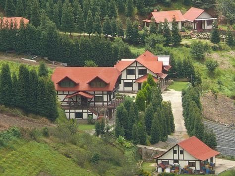 GianlucaCoccon1's tweet photo. Este hermoso pueblo turístico de desendencias Alemana se llama El Jarillo...asentado en los Altos Mirandinos aprox a 30 km de Los Teques y a unos pocos de la Colonia Tovar...Edo Miranda VENEZUELA 🇻🇪🇻🇪🇻🇪🇻🇪 https://t.co/Ca8yoY2774