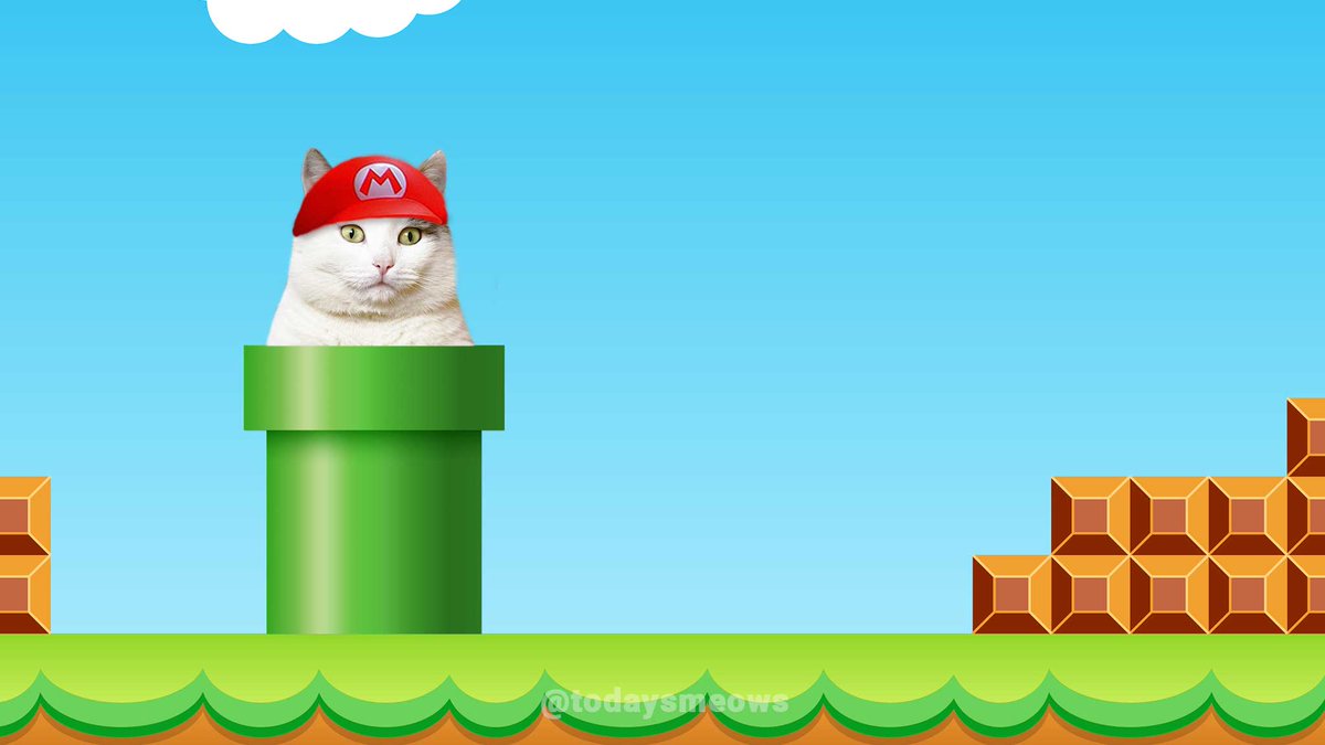 ほんじつのニャース 明るい猫ニュースだけ Twitterren 今日11月21日は 任天堂の日 だよ 今日はニャンの日 任天堂の新作の販売がこの日が多いから ファンから 任天堂の日 って呼ばれてるんだって 猫のゲームも人気ですよね 任天堂さん 今日は何の日