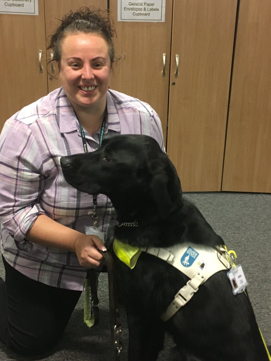 BUKCommunity's tweet photo. Introducing Breakthrough's newest Access Facilitator Albie, proudly sporting his new ID badge! Albie works with Community Connector Vicky - supporting her to support connecting clients into activities in the community. We're all a little bit in love with him. https://t.co/I7e41xjG1f
