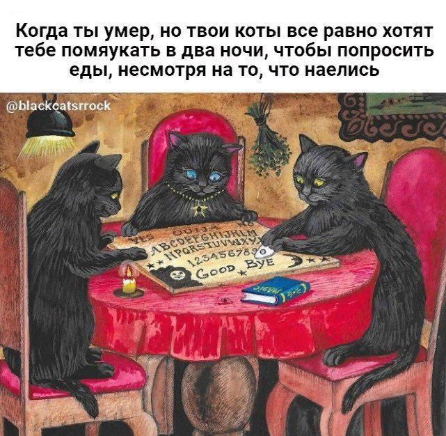 EJ4ZAaYX0AA9RsM?format=jpg&name=small