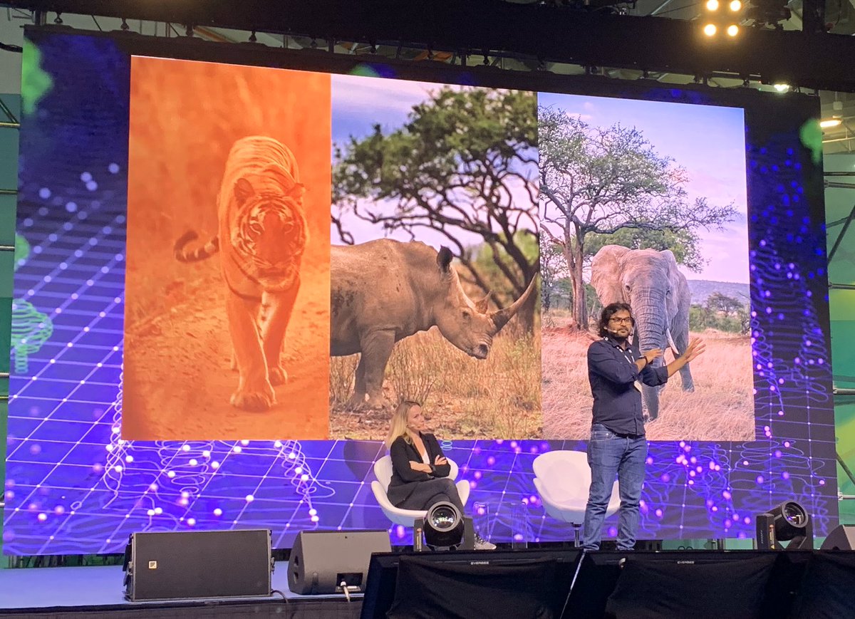 #SigfoxConnect: <a href="/Rohit_wildlife/">Rohit</a> from <a href="/WWF/">WWF</a> and <a href="/marion_moreau/">Marion Moreau</a> from <a href="/SigfoxNation/">SIGFOX Foundation</a> explain how #IoT is a game changer for wildlife protection.
Another example of what #0Gnetwork empowers 🦏🐅🐘