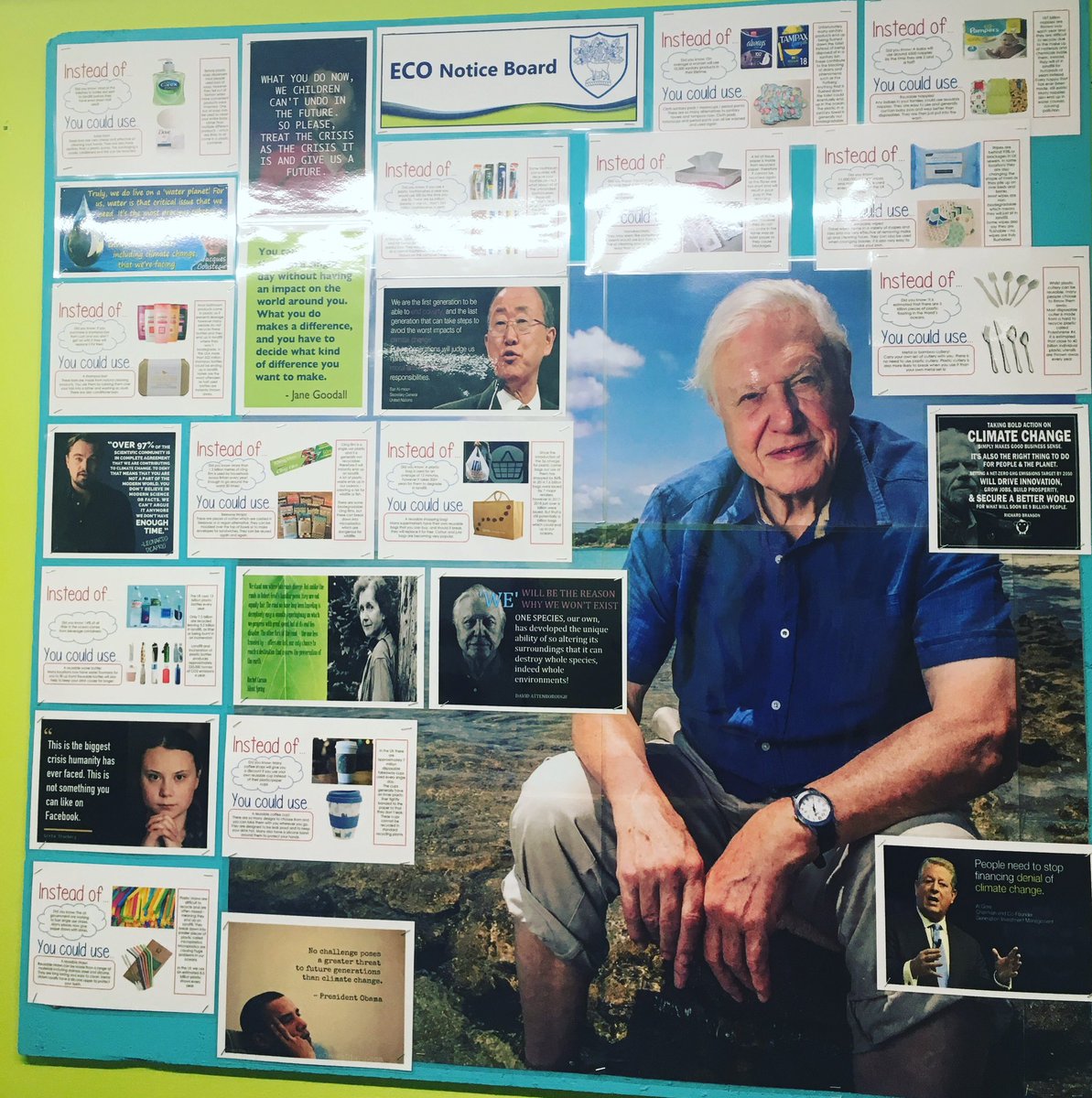 PHSstudentteam's tweet photo. Check out our new eco display board in the Humanities Corridor. #ecofriendly #DavidAttenborough #savetheplanet @PHSNewbury https://t.co/ibLsXk32EZ