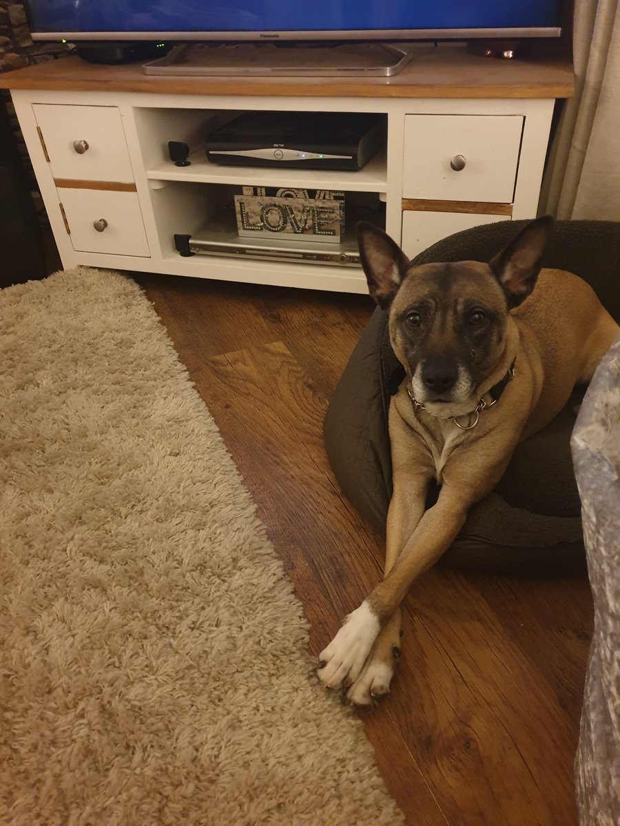 Just chillin...
#pudseyjoinery #EBAcircle #yorkshirehour #leedshour #harrogatehour #homeimprovement #homesweethome #joinery