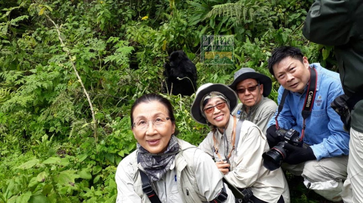 rwanda_gorillas's tweet photo. “Life is one big #adventure. Wanna join our #Rwanda #gorilla trek #safari?
https://t.co/IeO7T34xTz
#Travel #Holiday https://t.co/t8rFN37rQW