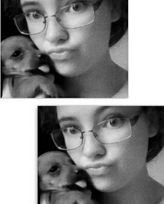 TarynMann's tweet photo. Picture day with mommy...😍🐶❤️💋
#dashundpuppy #snapchat  #pictureday #puppylove🐶#toungout https://t.co/qEOAqBZNpG https://t.co/YgXEgDiAzt