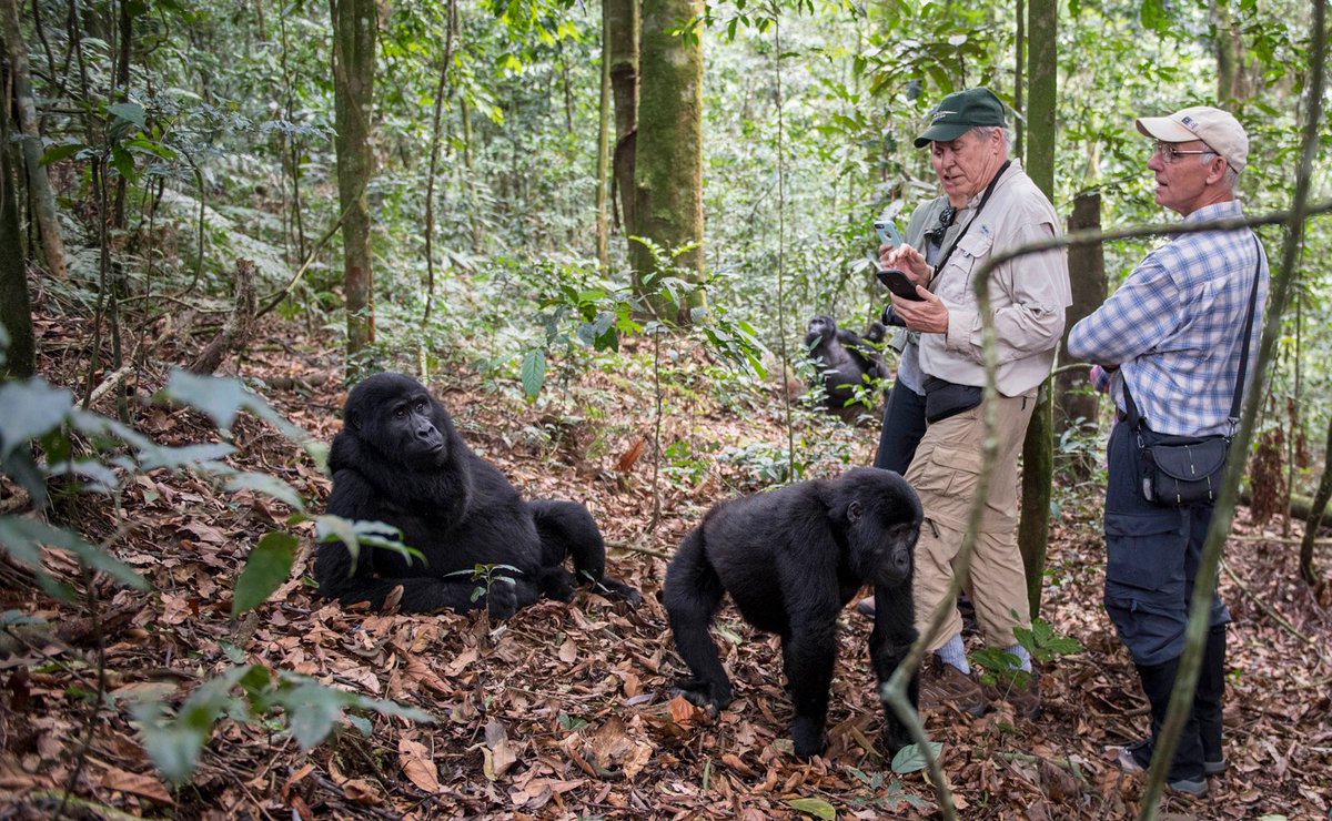 rwanda_gorillas's tweet photo. A shared #adventure is a better adventure! Share #memories in #Rwanda with your Husband, Wife, friends or family
https://t.co/M8V0xI4pOu
#Travel #RwandaTour https://t.co/BbhDHR47gK