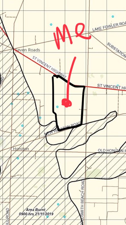 Daniel Schmidt tweet media