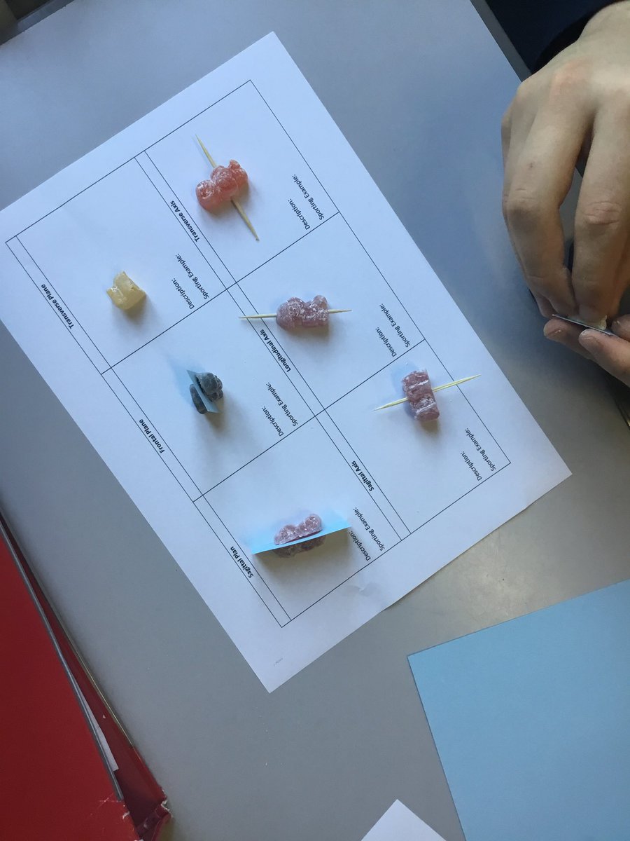 DunottarSport's tweet photo. GCSE PE have started looking at planes and axis of movement, including sporting movements involved within each 🤸🏽♀️🏌🏻♀️🏋🏽♀️🤾🏼♂️#PlaneAndSimple #Creativity https://t.co/ePELt45jCi