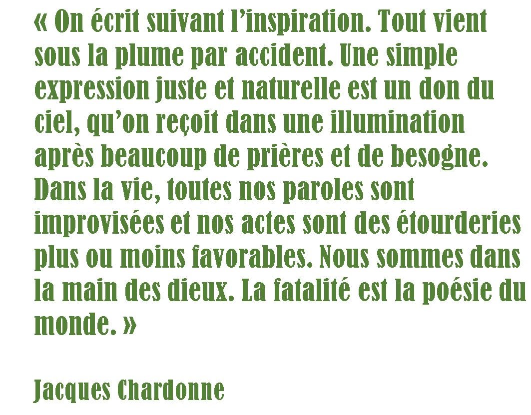 Les Toupies H Citations Ecrire Ecriture Jacqueschardonne