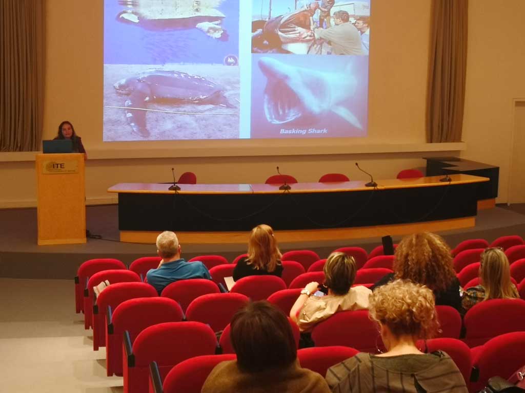 Sea4All's tweet photo. Presentation of "Importance of marine pollution: Scientific Knowledge and Environmental Impact" by Anastasia Miliou from Archipelagos, Greece #Sea4All
https://t.co/OMwVCoqRRW https://t.co/6vnBWCDsGw