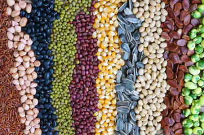 Tuvojas Pavasaris. Ko sēsi, to pļausi. Vieta, kur notiek sēklu izvēle. Darzalaiks.lv